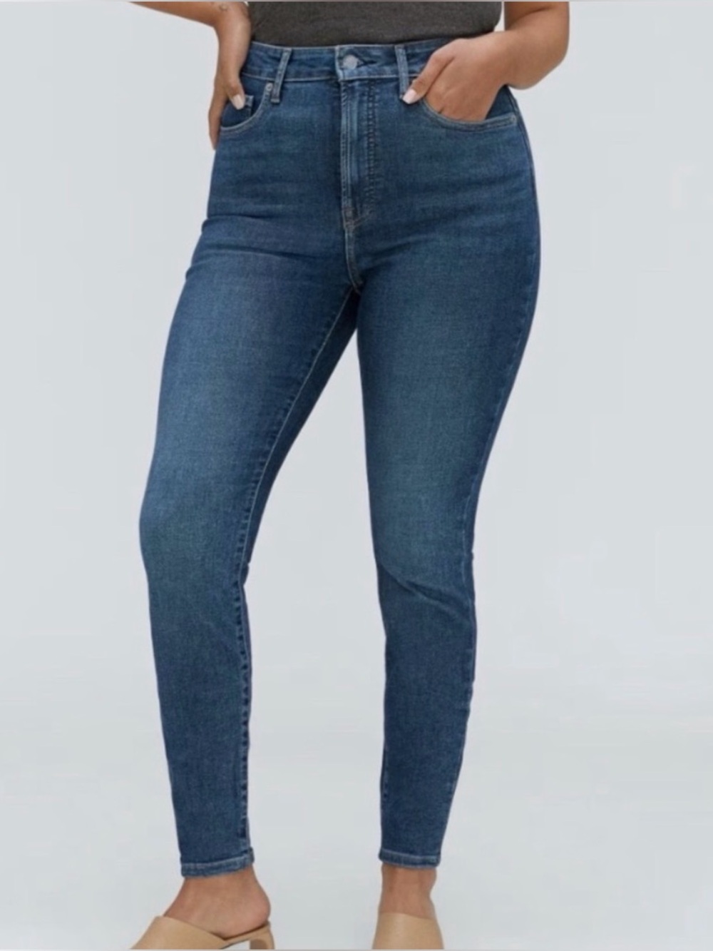 Everlane The Curvy High-Rise Skinny Jean (30R)